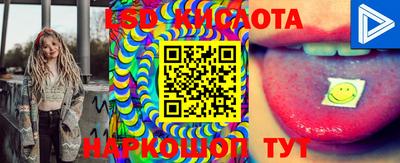 прущие грибы Баксан