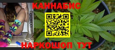 шишки Ачхой-Мартан
