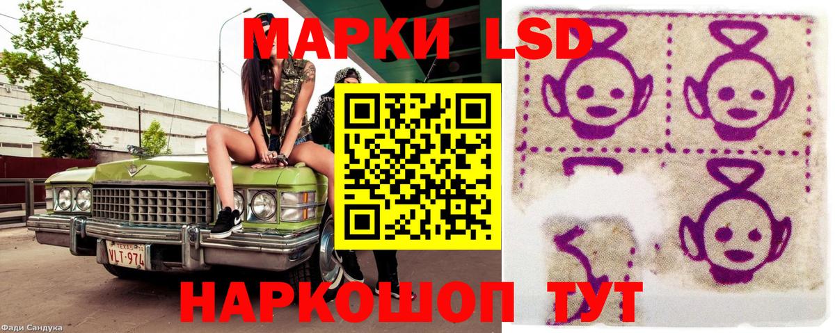 закладка  Марки N-bome 1,5мг  Марки N-bome 1,5мг  Вход с VPN  Ессентуки 